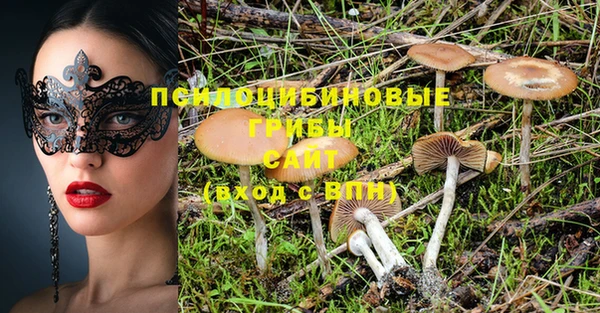 индика Алексин