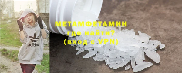 индика Алексин