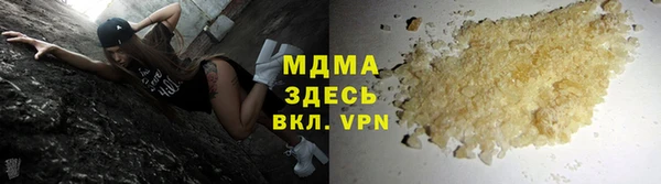 индика Алексин