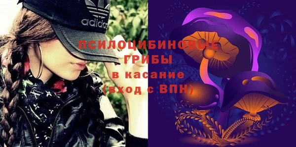 a pvp Арсеньев