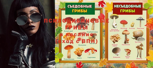 молекула духа Алексеевка