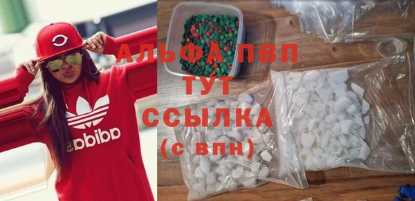 индика Алексин