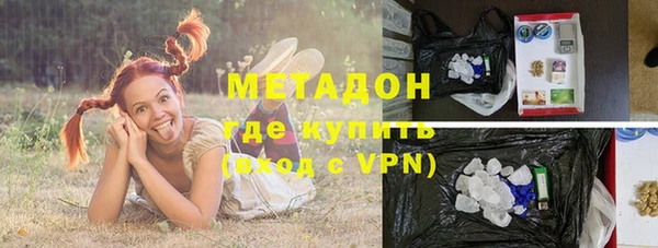 индика Алексин
