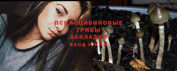 a pvp Армянск