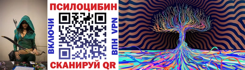 mega ТОР  Краснотурьинск  Псилоцибиновые грибы Psilocybe  купить закладку 