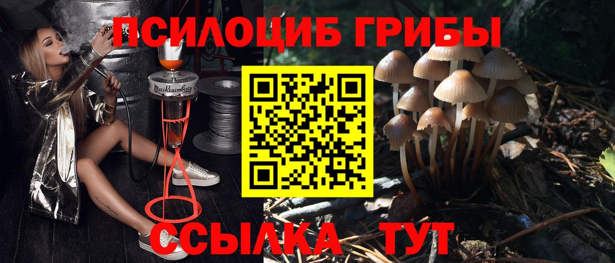 Галлюциногенные грибы Psilocybine cubensis  Вход с VPN  закладка  Краснотурьинск 